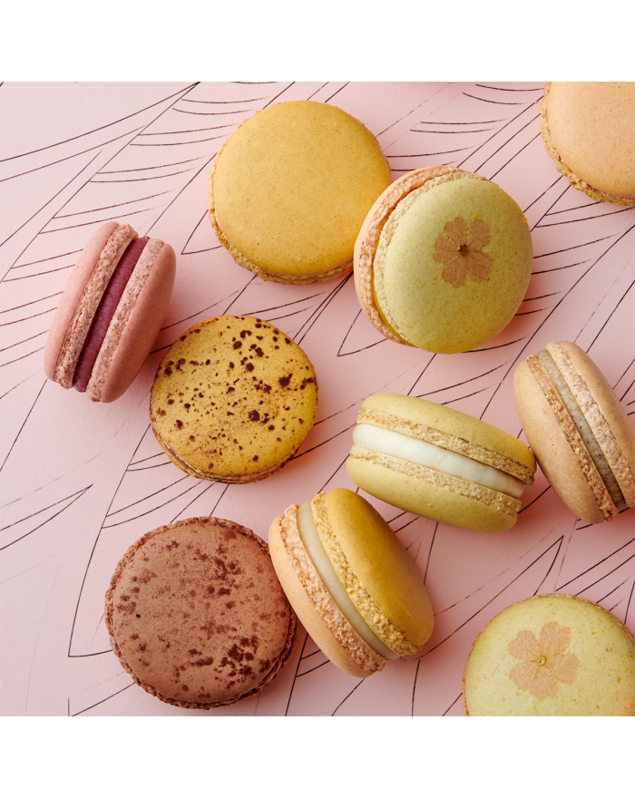 Coffret de macarons à composer｜Pierre Hermé Paris