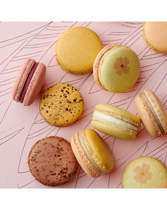 Box of macarons to compose